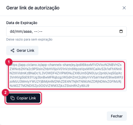 Janela com o link de autorização gerado e o botão Copiar Link