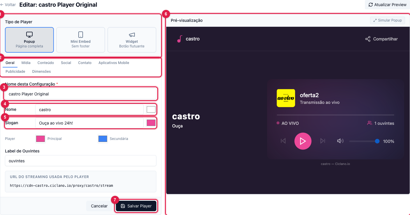 Editor do Web Player com o tipo de player, as abas, os campos da aba Geral e a pré-visualização ao lado