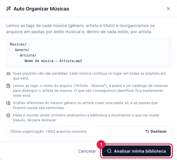 Janela Auto Organizar Músicas explicando a estrutura de pastas e com o botão Analisar minha biblioteca
