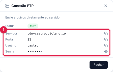 Janela Conexão FTP com servidor, porta 21, usuário e senha mascarada